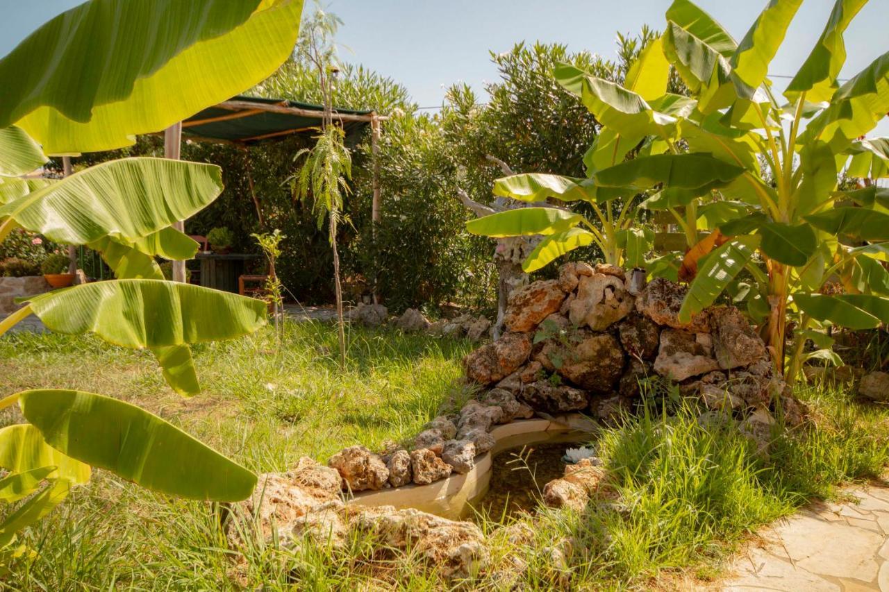 Harmony Corfu Apartments & Studios Exterior foto